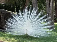 !cid_47B250C674344F7D9B30F7D080259CC7@joysea.webp