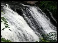 l_a598df57721a4c4d8d2a544483a53844.webp
