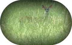 l_f91e0214563447d0949f8e0fb7c581ec.webp