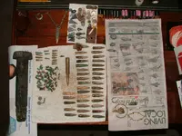 DSCF3235.webp