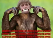 Banner_Konkey.webp