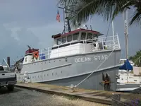 Ocean Star3.webp