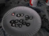 DSCF3397.webp