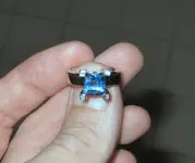 blue bomber 8.webp
