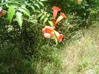 Not Summer Yet 011.webp