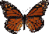 butterfly002.gif