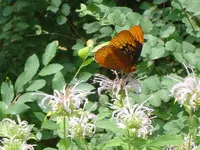 Down A Mtn Road 023.webp