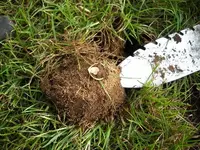 DSCN1344.webp