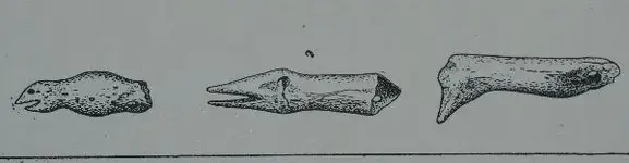 pendantbirdhead5.webp