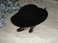 cat in the hat 004e.webp