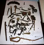 DSCN3602.webp