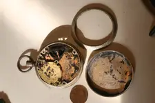 NC FINDS 7-31 001.webp