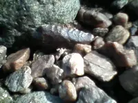 !cid__0702100947.webp