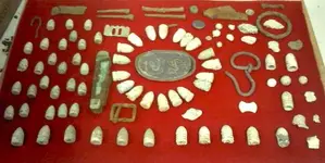 Josh\'s Finds as of 8-10-10.webp