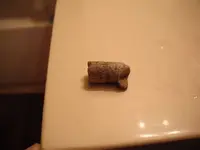 2 Ringer Splat Bullet.webp
