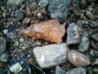 !cid__0702100959.webp