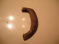 Broken Buckle Front.webp
