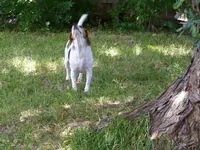MD Gloves 004.webp