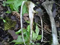 IMG00175-20100630-1119.webp