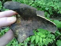 IMG00178-20100630-1122.webp