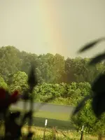 rainbow 001e.webp