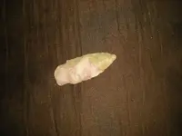 DSCN3935.webp