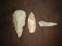 DSCN3936.webp