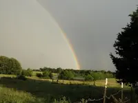 rainbow 005e.webp
