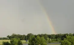 rainbow 009e.webp