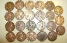 23 Cleaned Wheats.webp