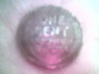 37wht.webp