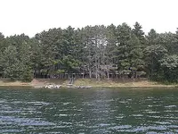 little star lake.webp