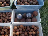 cannonballs3.webp