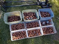 cannonballs4.webp
