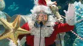scubasanta.webp