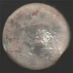 watchbackA.webp