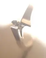 ring2.webp