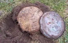 button8-25-06a2.webp