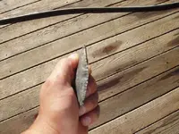 P7230052resize4.webp