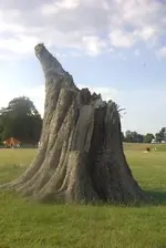 stump.webp