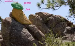foot 2 (Medium).webp