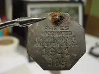 Dog Tag.webp