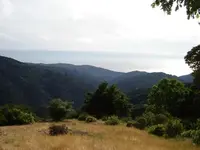 my yard overlooking the ocean.webp