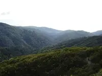 valley.webp