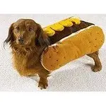 HOT DOG.webp