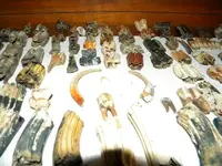 DSCN1042.webp
