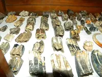 DSCN1043.webp