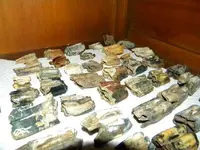 DSCN1044.webp
