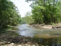 Along The River 001.webp