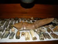 DSCN1045.webp